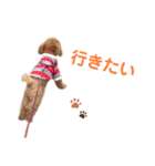 まいぺーすといぷー3（個別スタンプ：4）
