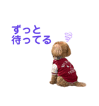 まいぺーすといぷー3（個別スタンプ：5）