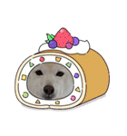柴犬(白色)のスタンプ（個別スタンプ：38）