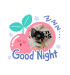 ボクわさび（個別スタンプ：3）