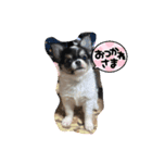 ボクわさび（個別スタンプ：4）