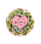しゃべる多肉スタンプ（個別スタンプ：3）