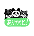 ぱんだ 猫 シュナウザー（個別スタンプ：8）