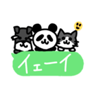ぱんだ 猫 シュナウザー（個別スタンプ：9）