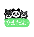 ぱんだ 猫 シュナウザー（個別スタンプ：11）