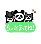 ぱんだ 猫 シュナウザー（個別スタンプ：12）