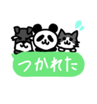 ぱんだ 猫 シュナウザー（個別スタンプ：16）