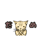 うちのもちねこ トラ猫（個別スタンプ：9）