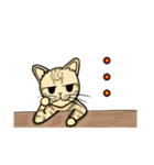 うちのもちねこ トラ猫（個別スタンプ：19）