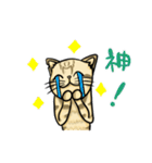 うちのもちねこ トラ猫（個別スタンプ：26）