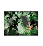 SHOOTINGSTARSGRAPHIC/絵心企画(自然)2（個別スタンプ：3）