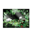 SHOOTINGSTARSGRAPHIC/絵心企画(自然)2（個別スタンプ：4）