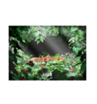 SHOOTINGSTARSGRAPHIC/絵心企画(自然)2（個別スタンプ：5）