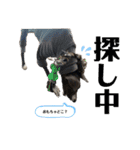 イタグレのおさら（個別スタンプ：22）