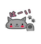 にゃこのにゃこ（個別スタンプ：1）