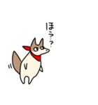 赤いスカーフの犬（個別スタンプ：16）