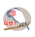 かわいくて元気な鳥たち（個別スタンプ：21）