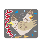 かわいくて元気な鳥たち（個別スタンプ：25）