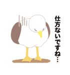 かわいくて元気な鳥たち（個別スタンプ：27）