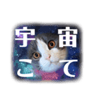 めちゃつかえスタンプ（個別スタンプ：9）