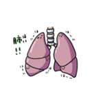 臓器で一言スタンプ（個別スタンプ：5）