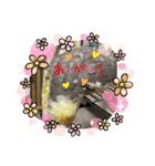 福ちゃんいっぱい（個別スタンプ：2）