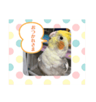 福ちゃんいっぱい（個別スタンプ：3）