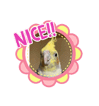 福ちゃんいっぱい（個別スタンプ：8）