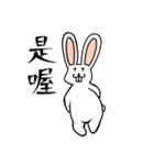 兎霊幽兎(うさぎれいゆうと)—日常(繁体字)（個別スタンプ：37）