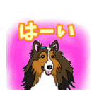 大きな文字のluckysticker（個別スタンプ：2）