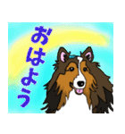 大きな文字のluckysticker（個別スタンプ：5）