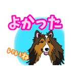 大きな文字のluckysticker（個別スタンプ：14）