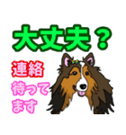 大きな文字のluckysticker（個別スタンプ：15）