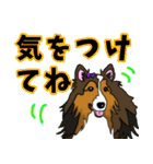 大きな文字のluckysticker（個別スタンプ：16）