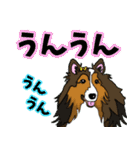 大きな文字のluckysticker（個別スタンプ：17）