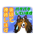 大きな文字のluckysticker（個別スタンプ：22）