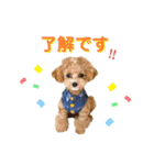 マルプーのパルムくん。（個別スタンプ：5）