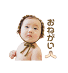 haruto's stamp collection（個別スタンプ：25）