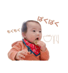 haruto's stamp collection（個別スタンプ：31）