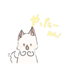 くーちゃん＆あんずのLINEスタンプ（個別スタンプ：20）