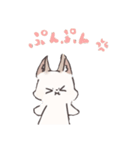 くーちゃん＆あんずのLINEスタンプ（個別スタンプ：24）