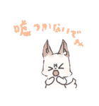 くーちゃん＆あんずのLINEスタンプ（個別スタンプ：26）