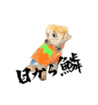 ぽっけだよ✰（個別スタンプ：20）