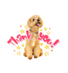 ぽっけだよ✰（個別スタンプ：21）