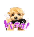 ぽっけだよ✰（個別スタンプ：22）