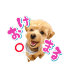 ぽっけだよ✰（個別スタンプ：23）