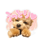 ぽっけだよ✰（個別スタンプ：33）