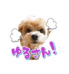 ぽっけだよ✰（個別スタンプ：37）