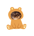 猫のゴマちゃん、パート1（個別スタンプ：4）