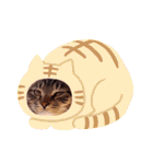 猫のゴマちゃん、パート1（個別スタンプ：5）